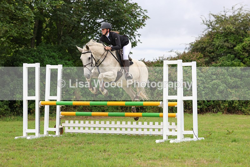 3E7A7081 - Class 5: Senior British Novice/90cm open