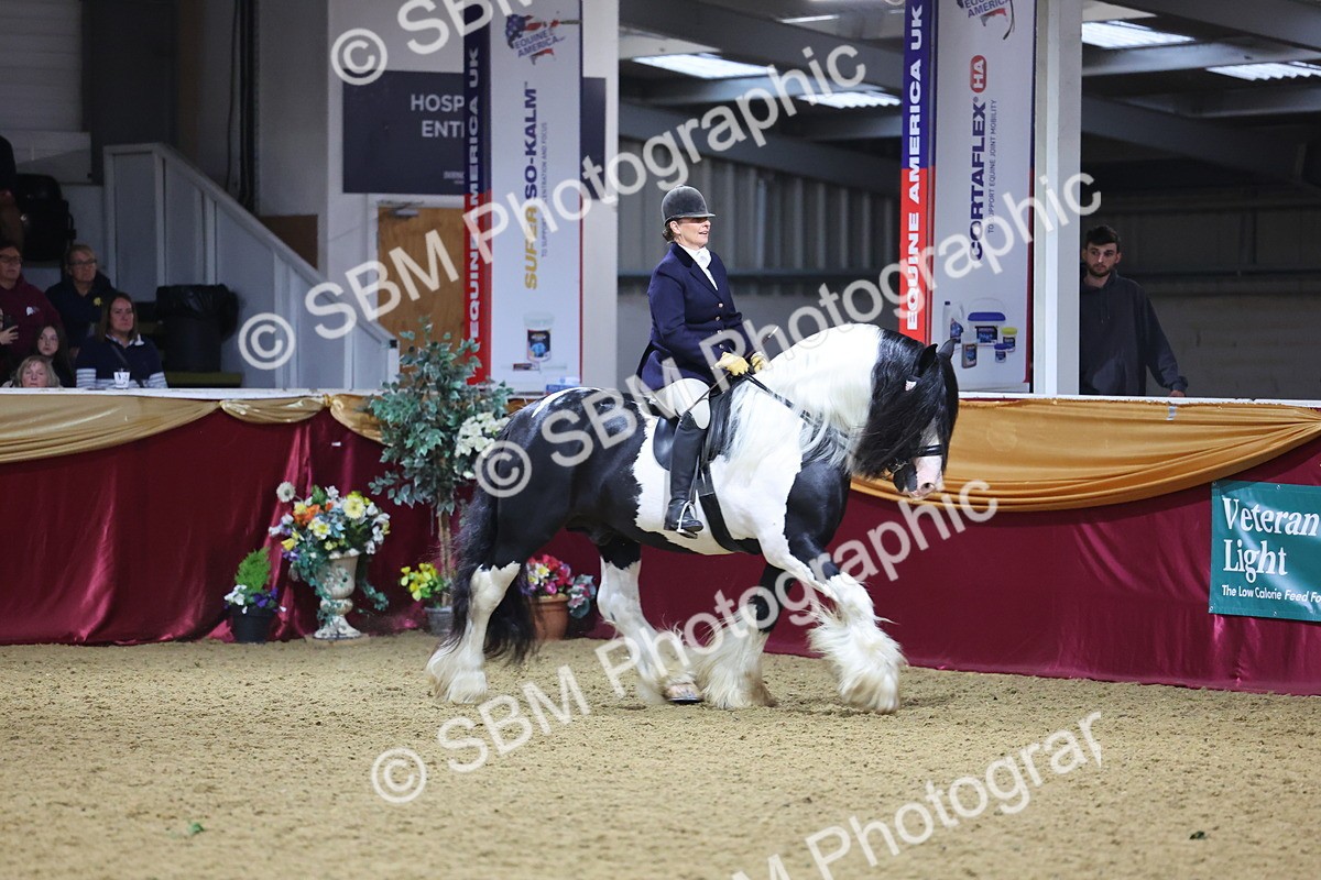 SBM_19201 - Class J Coloured Champ