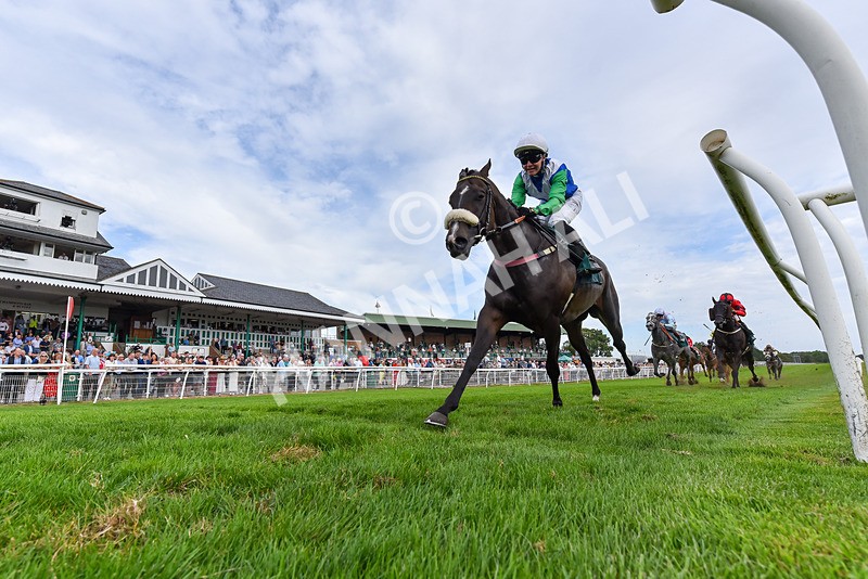 260826-Race 5-Novamay-6437 - Race 5 16:15 Oops A Daisy Handicap