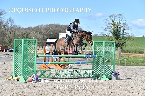 BPP_3536 - CLASS 7 Senior Foxhunter/ 1.20m Open