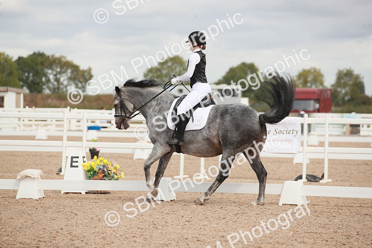 SBM_03942 - Class 31 - Prelim 1