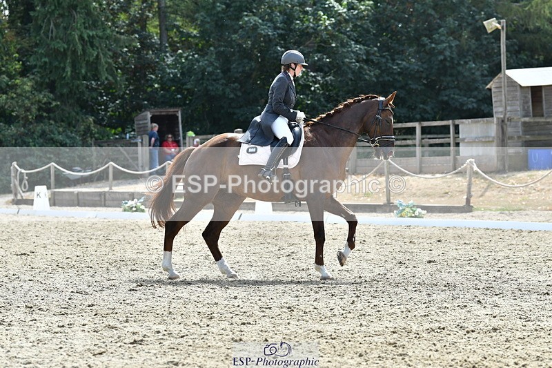 260802A-152542-07396 - Intermediate Bronze