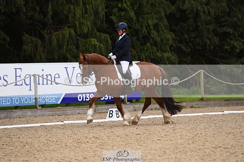 230426-111536-00421 - Cls 4 Novice 38Q Start to 11.30 break