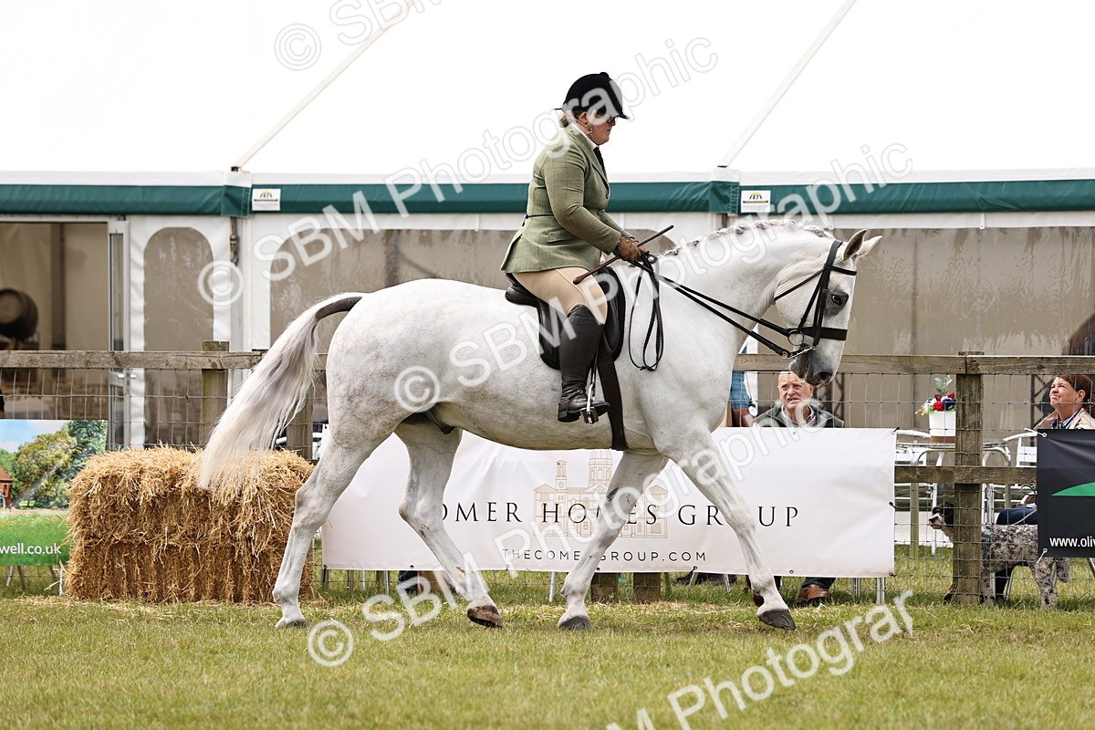 SBM_14644 - Class 88-89 - LIHS BSHA Rising Star of Ridden Hunter Type