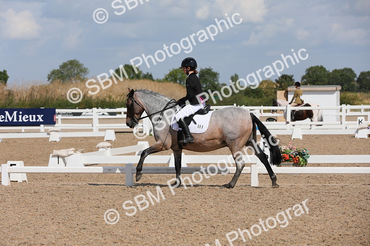 SBM_04001 - Class 31 Prelim 1