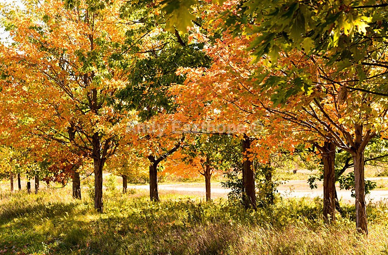 Bronte Park, Burlington - Autumn in Canada