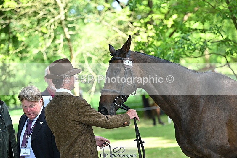 250521A-155058-00799 - B-373-Ben.Lee.Liles-FINCH.FANCY