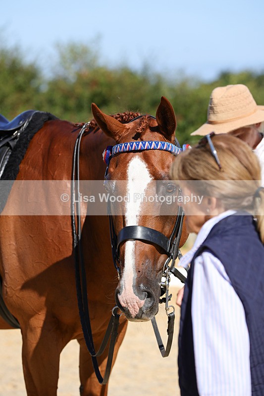 1X9A7916 - Class 10:Riding Horse