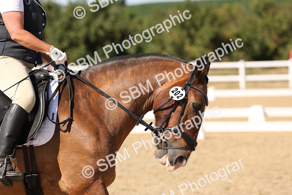 SBM_003790 - Elementary 4