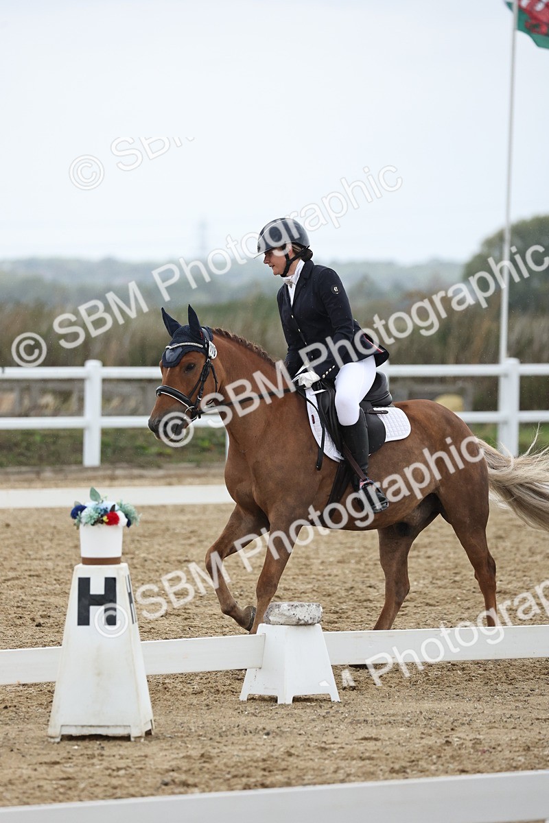 SBM_004318 - Class 8 - Novice 3 Champs