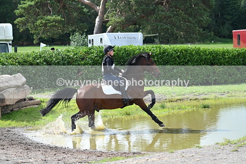 WJ7_1933 - Time 13:17 to 13:53