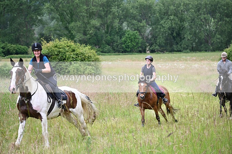 WJ6_8206 - Camera 1 Gallops