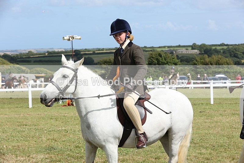 JPP_2456 - Class 19: Working Hunter 60cm