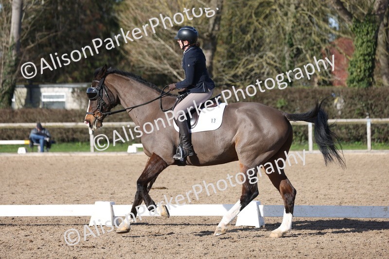 20260214-0502 - Class 5 - Novice 3