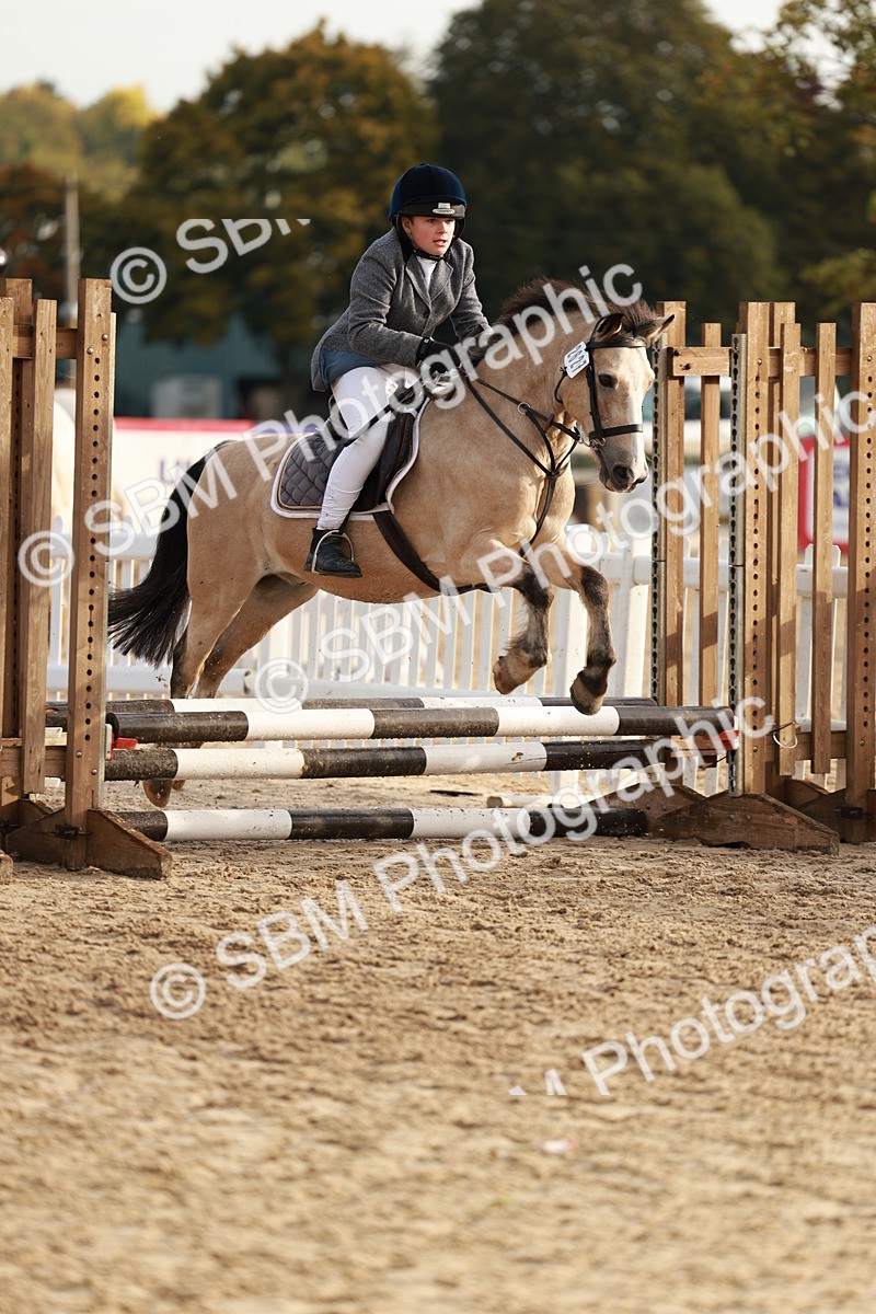 SBM_55579 - J11 - Junior Pony 50cm Championship
