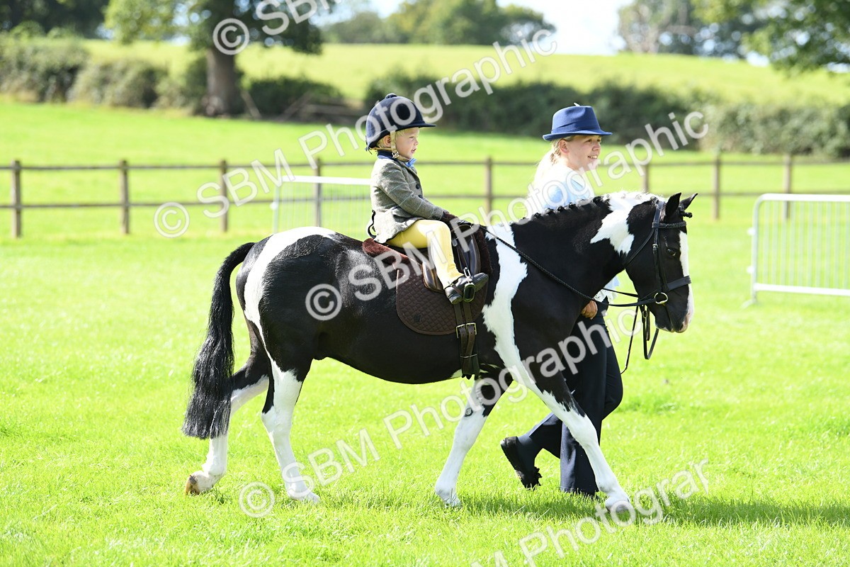 SBM_41127 - S19 - Lead Rein Show & Show Hunter Pony
