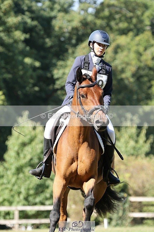 250823A-105249-27835 - Arena D