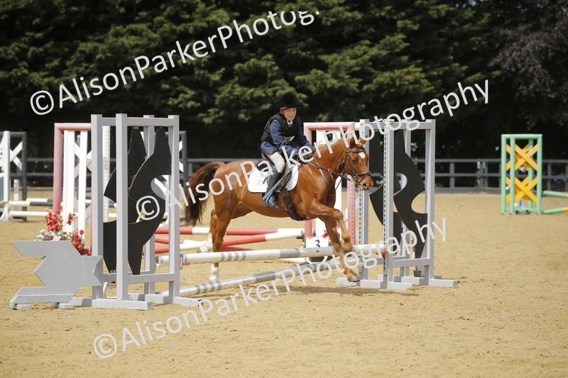 20250622-3996 - 50cm