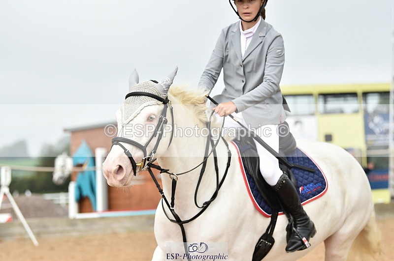 230902A-112508-00710 - Cls 2B Pony Small 80cm