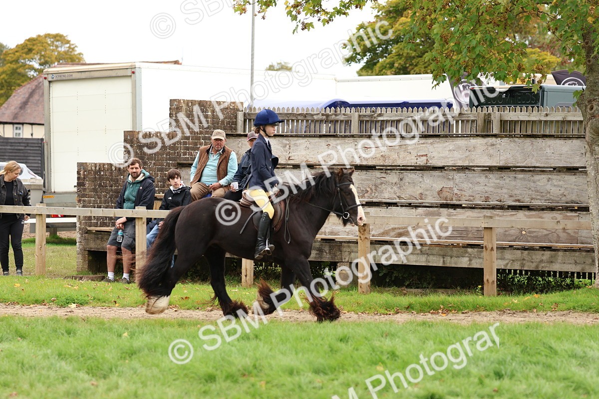 SBM_67523 - S60 - Mini Show Cob Ridden