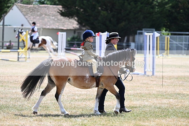 WJ7_2655 - Class 6 Ridden Mountain and Moorland