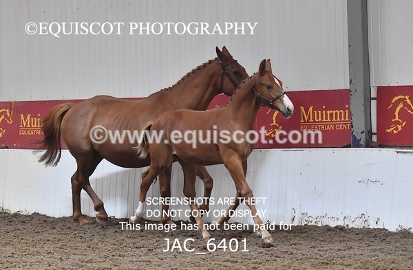 JAC_6401 - 19 Luca