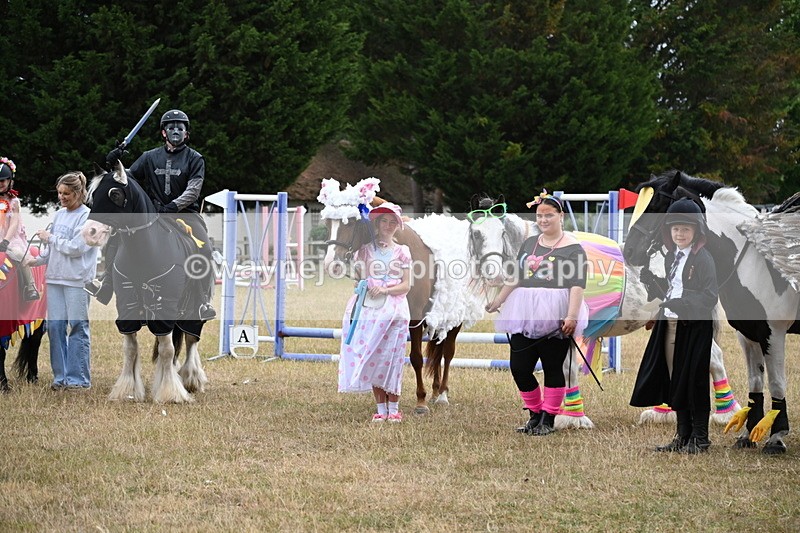 WJ6_9247 - Class 11 Fancy Dress