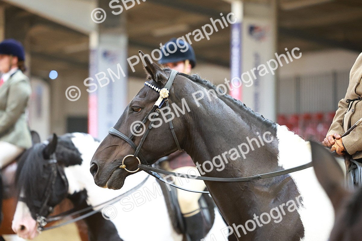 SBM_09691 - Class 102 - HOYS Veteran Qualifier - Ridden Veteran
