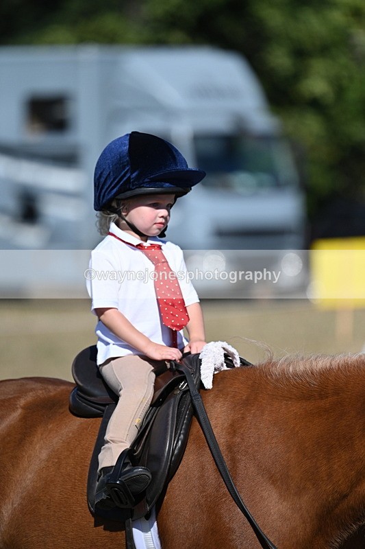 WJ7_2079 - Class 44 Child's Best Friend