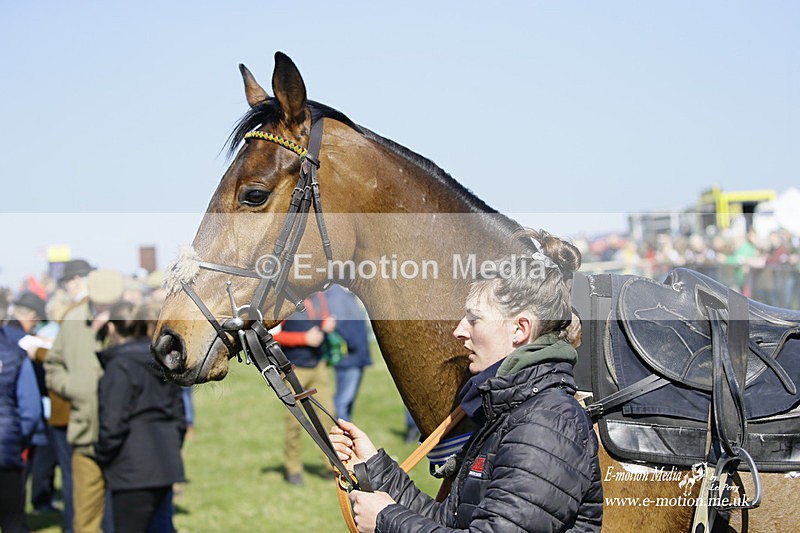 PtP 190322 144 - Wilton Hunt PtP Milborne St Andrew 19/03/22