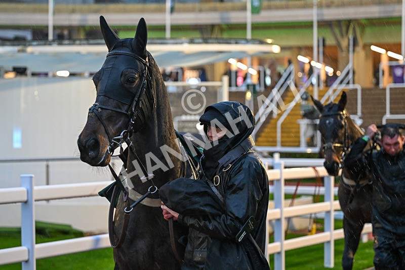 141125-Race 6-Shade Of Winter-1315 - Race 6