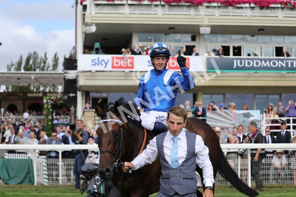 yr17082022r4-117 - Race 4 3.35pm Juddmonte International Stakes (British Champions Series Race)