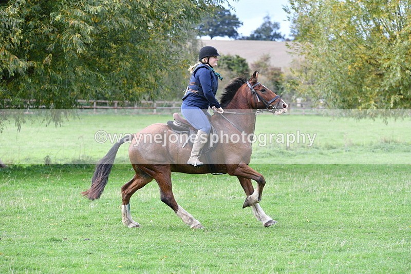 WJ5_0628 - Time 13:59 to 14:28