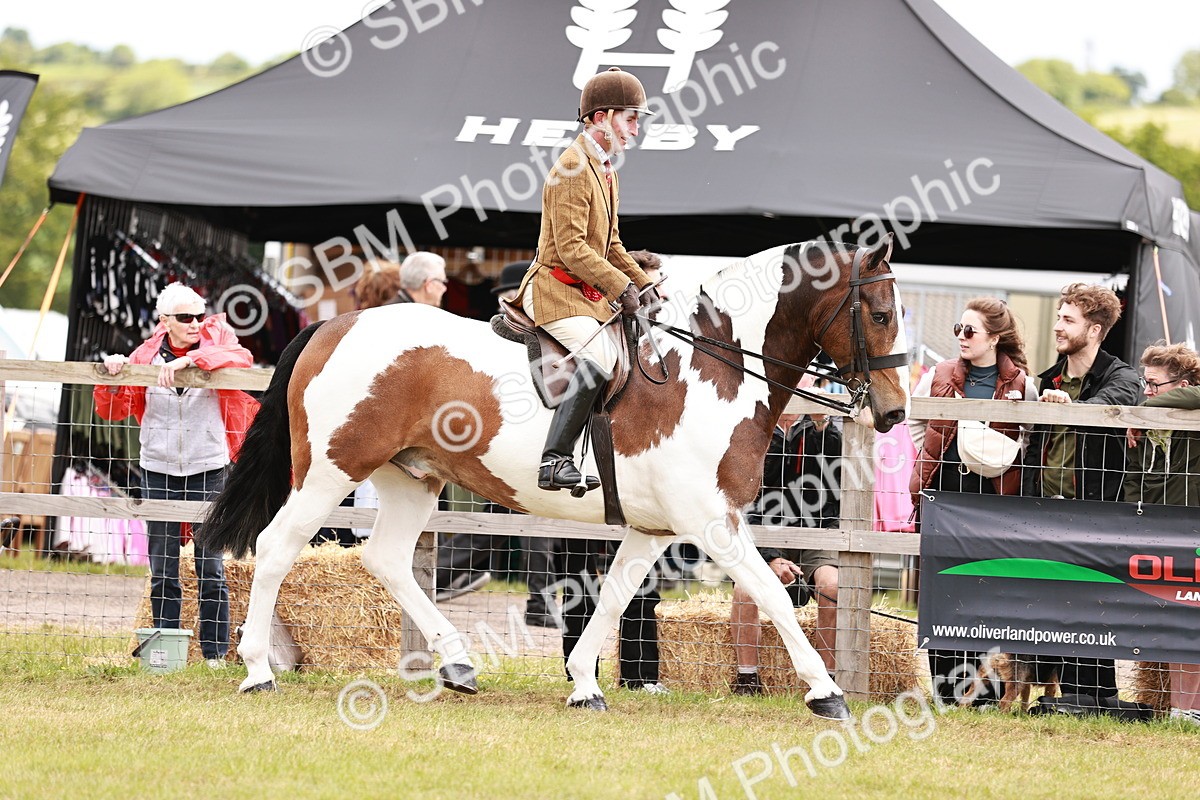 SBM_14069 - Class 85-87 - RIHS Cobs