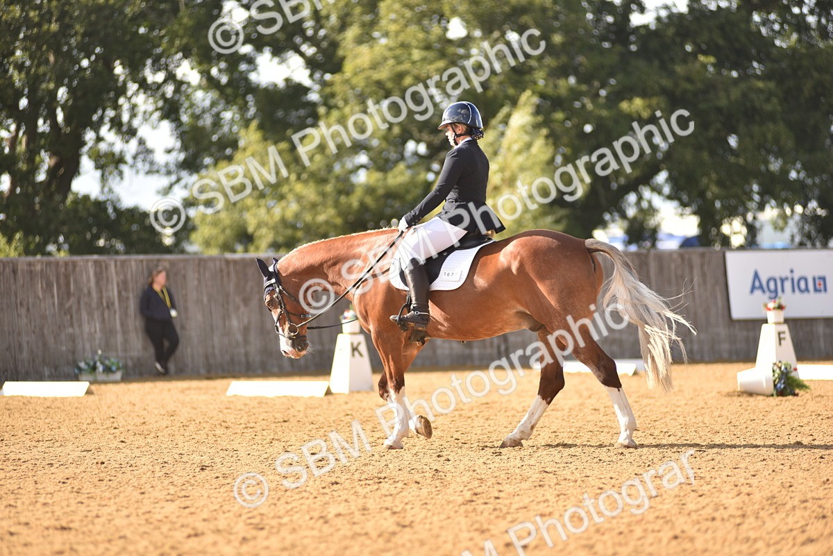 SBM_29581 - D16 -Small Tour Championship Novice 2