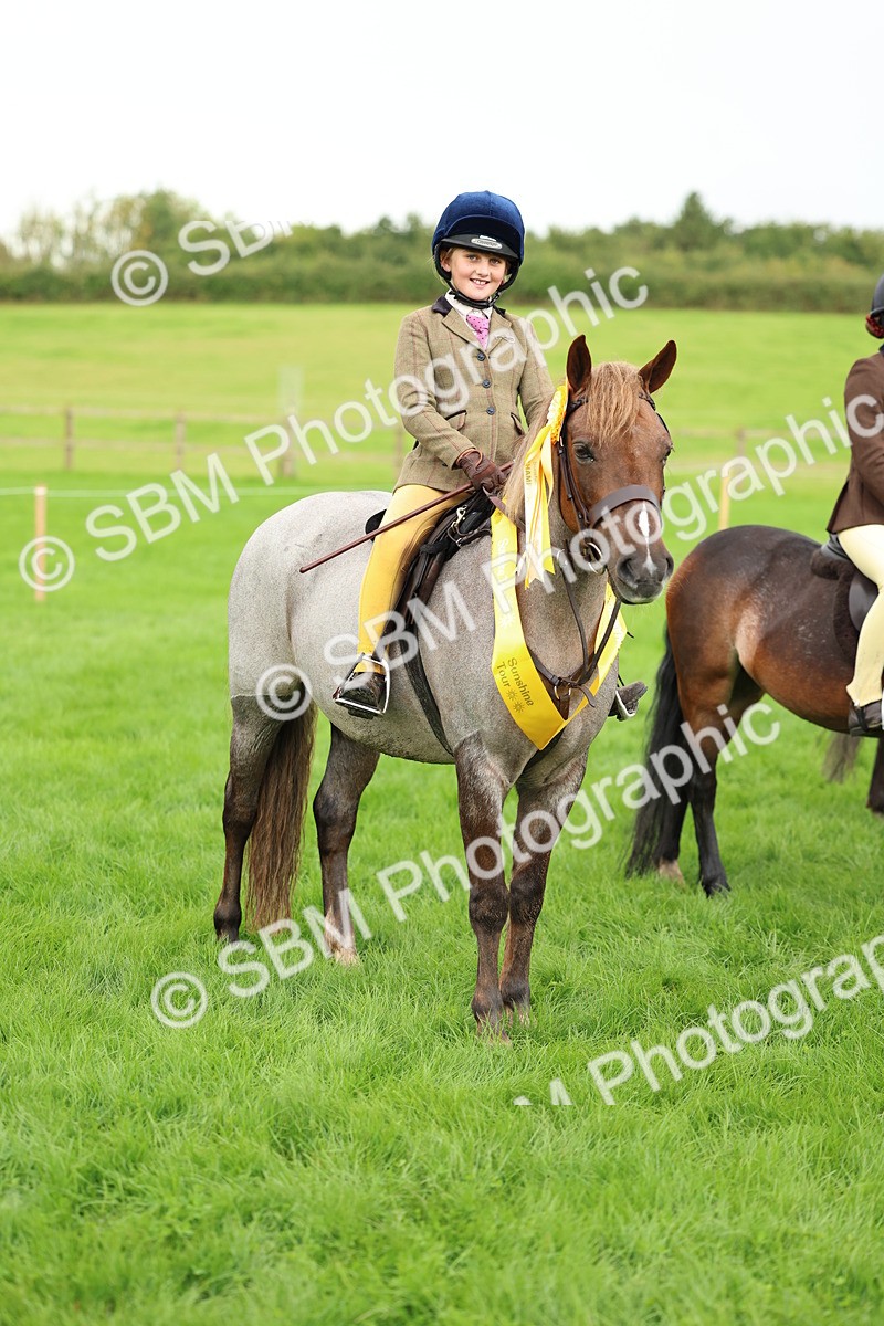SBM_41879 - S32 - Mountain & Moorland Working Hunter Pony
