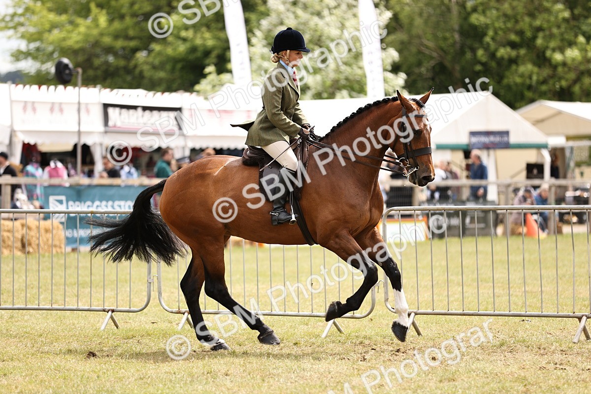 SBM_14660 - Class 88-89 - LIHS BSHA Rising Star of Ridden Hunter Type
