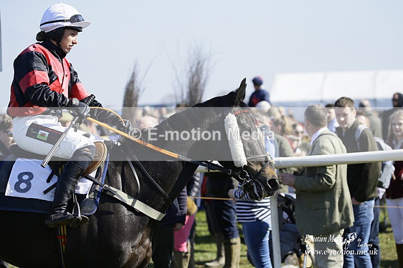 PtP 200322 19 - Mendip Farmers Point-to-Point 20/03/22