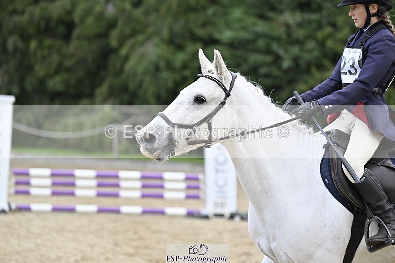 251005A-130453-04038 - Cls 08 Mini 70-75cm