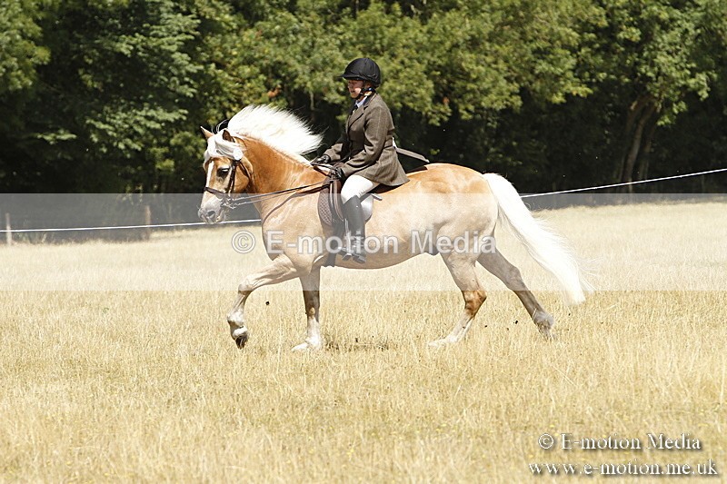 _BS_0809 - BVRC Show 2018 Ring 1