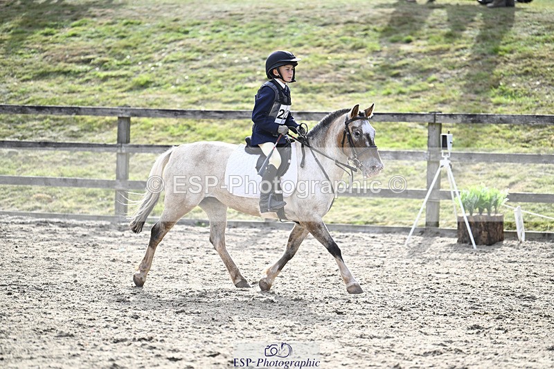 240822X-171814-12901 - 40cm A R2 16.16 to17.26