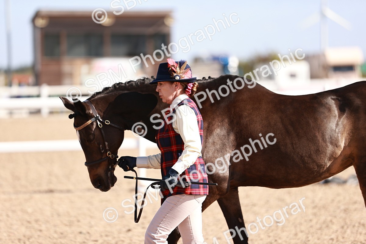 SBM_22808 - Class 705 - IH Combination 65+