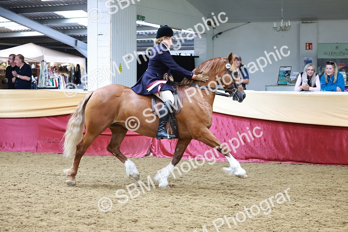 SBM_18924 - Class 952 - M&M Ridden Supreme Final