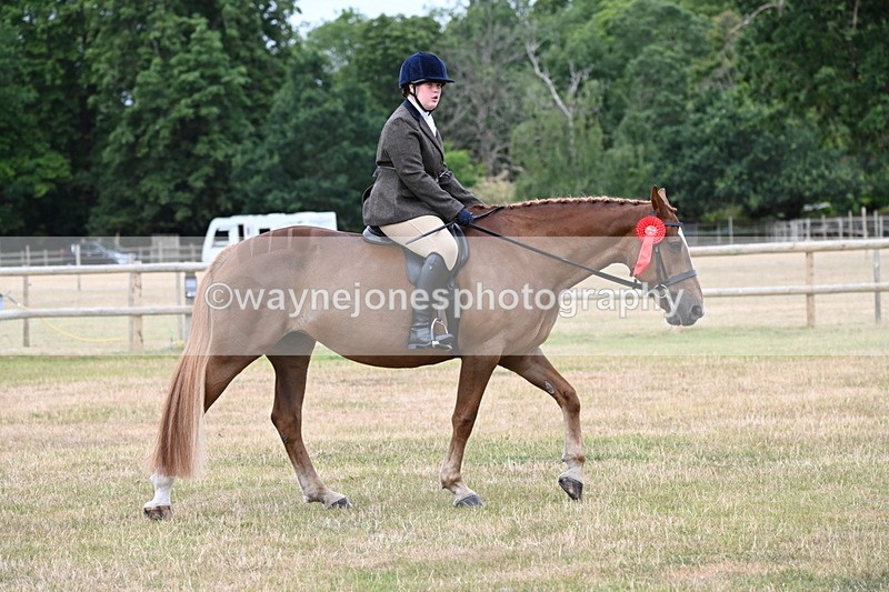 WJ6_4078 - Class 9 Tack & Turnout