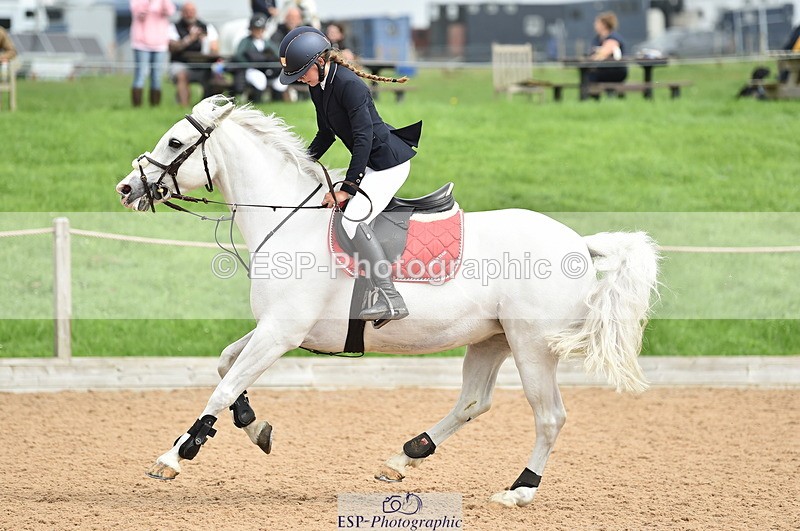 230902A-112344-00702 - Cls 2B Pony Small 80cm