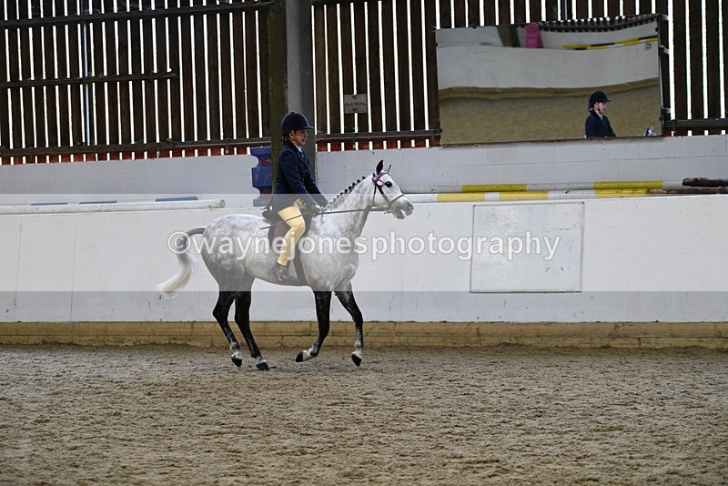 WJ5_7751 - Class 13 Ridden Part Breed