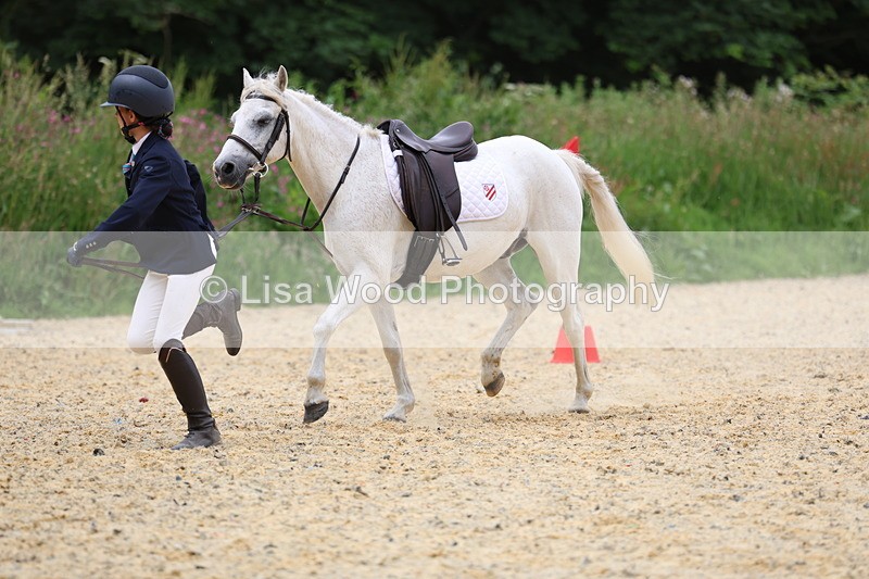 3E7A9681 - Walk trot run