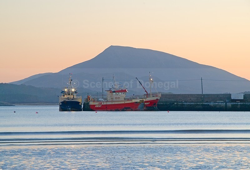 DSC_0040a - Downings & Beaches
