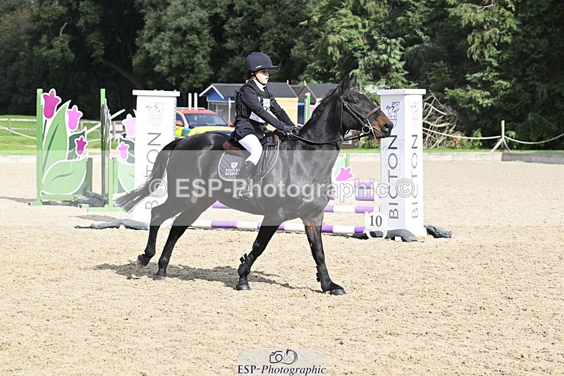 251005A-125611-03962 - Cls 08 Mini 70-75cm