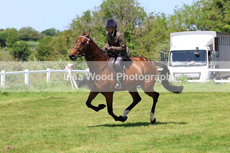 3E7A8082 - Working Hunter Championship